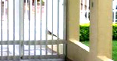 Apartamento com 2 Quartos e Lazer Completo