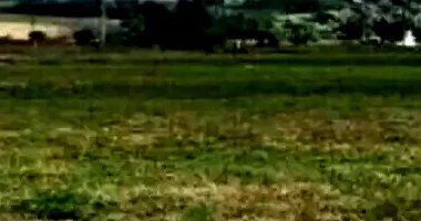 Terrenos em Leilão com 621,32m² de Área Total