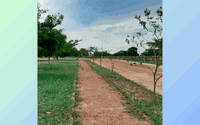 Terreno Amplo 12.529m² em Piripiri/PI com Potencial de Expansão