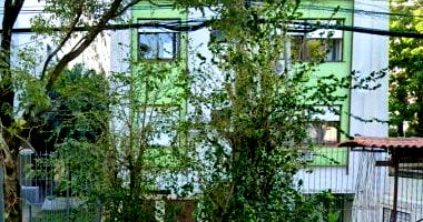 Apartamento Ocupado com 39m² no Menino Deus