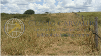 Imóvel Rural com 5,219 Ha em Dracena - SP