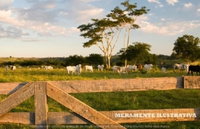 Fazenda em Marabá/PA - 72,6 hectares com área destacada