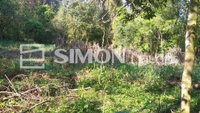 Imóvel Rural em Quedas do Iguaçu/PR com 6,3009ha