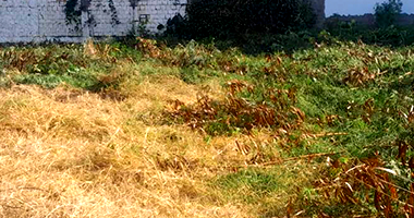 Terreno Amplo em Chapecó - SC