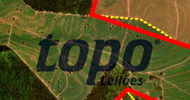 Fração 14,2857142% - Imóvel Rural - 253,6162ha