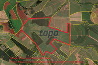 Fração 14,2857142% - Imóvel Rural - 253,6162ha