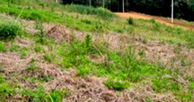 Lote Urbano em Saudades/SC com 360m²