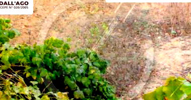 Gleba de Terras com 72,31 Hectares em Araripina/PE