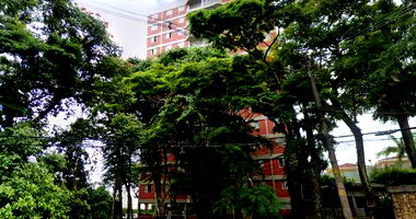 Apto. 88m², Butantã, São Paulo/SP - Ocupado