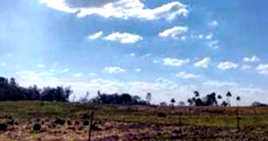 Terreno Rural com 8ha em Guarapuava/PR - Massa Falida Madeirit