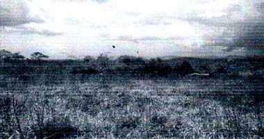 Fazenda Taboca com 965,87 hectares em Monte Santo do Tocantins