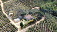 Área rural de 123.255,61m² em Colatina/ES - Oportunidade única!
