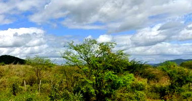 Imóvel Rural amplo com 1.159.200m² em Canapi/AL