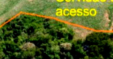 Imóvel Rural Ocupado com 12,10ha - Solo Arenoso Classe IV