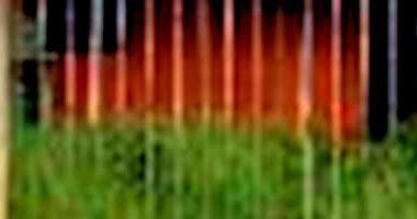 Casa com 1 Quarto e 1 Banheiro em São Gabriel do Oeste/MS