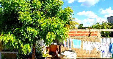 Lote 1, Quadra 22, Jardim Sorrilândia