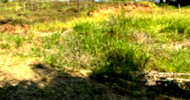 Terreno com 1000m² em Itapeva/SP