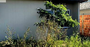 Casa de 2 quartos com 43,85 m² e quintal