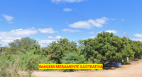Terreno em Salgueiro/PE - 12m x 30m
