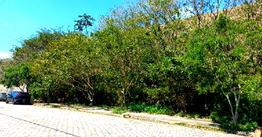 Terreno Amplo em Caraguatatuba - Lotes 16, 17 e 18