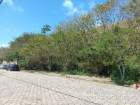 Terreno Amplo em Caraguatatuba - Lotes 16, 17 e 18