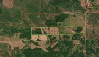 Imóvel rural com 125.000m² e casa de madeira