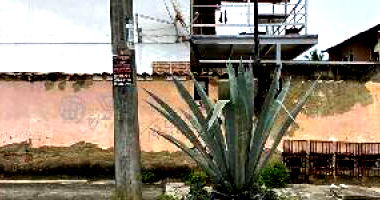 Casa com 2 Quartos e 1 Vaga em São Gonçalo
