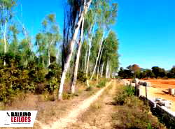 Terreno Urbano com Benfeitorias em Paranatinga - MT