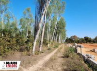 Terreno Urbano com Benfeitorias em Paranatinga - MT