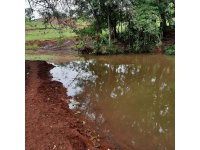 Fazenda Dupla Aptidão com 74 Hectares em Lindoeste/PR