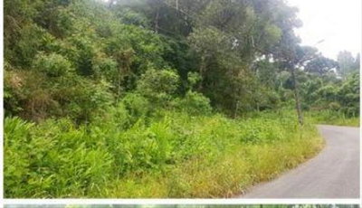 Terreno de 14.392,28m² sem benfeitorias, ideal para investimento