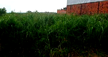 Terreno com 1.431m² em Rio Branco/AC