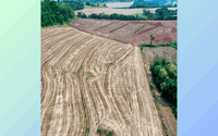 Área Rural 121.000m² — Excelente Oportunidade Agrícola