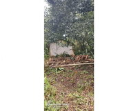 Terreno rural com casa em Gravatá, 8,4 hectares