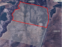 Fazenda com 263 hectares em Dianópolis/TO - Oportunidade de Investimento
