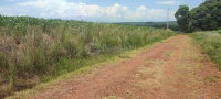 Terreno rural de 27.543,875m² em Fortaleza dos Valos/RS