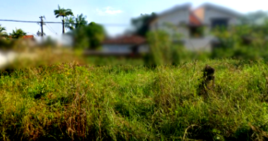 Terreno plano de 275m² com possibilidade de parcelamento