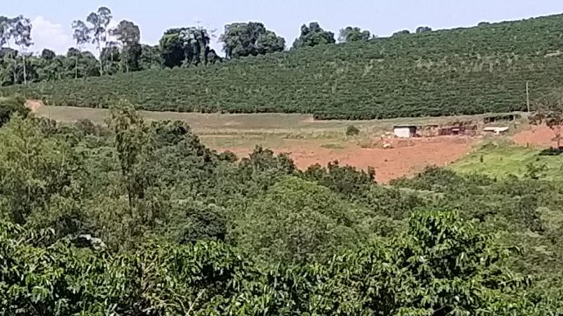 Gleba Rural de 8.61 hectares com lavouras e benfeitorias