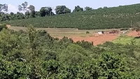 Gleba Rural de 8.61 hectares com lavouras e benfeitorias