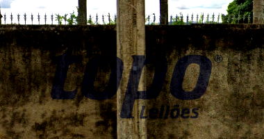 Terreno Urbano com Fração Ideal de 64,52% em Espírito Santo do Pinhal/SP