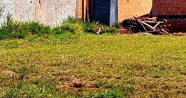 Terreno Urbano com 300m² em Residencial Cidade Jardim I