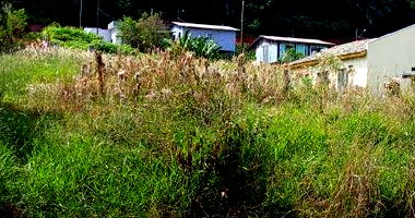 Terreno Amplo em Francisco Beltrão - 1.619m²