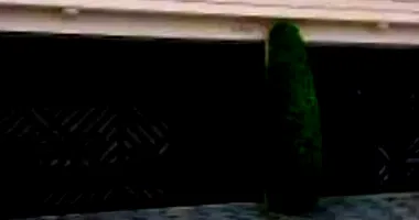 Casa em Leilão com 2 Quartos e 3 Vagas em São Bernardo do Campo