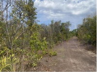 Gleba rural de 131,90 hectares em Natividade/TO