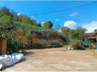 Terreno com Benfeitorias em Leilão - Monte Alegre do Sul/SP
