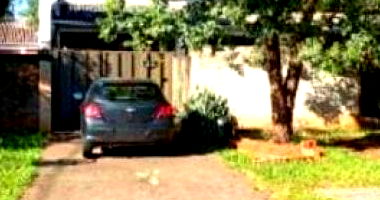 Casa com 207 m² em Foz do Iguaçu, Jardim Europa