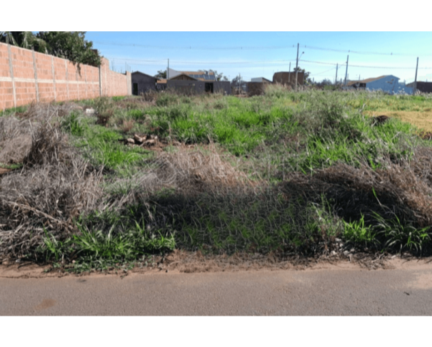 Terreno Villa das Flores em Pereira Barreto/SP - 250m²