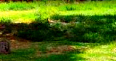 50% do Terreno com 900 m² em Sanga Puitã