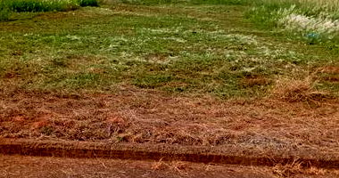 Terreno Urbano com Área Total 250 m² em Terra Roxa/PR