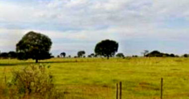 Gleba de terras com 38.450 m² em Caldas - MG